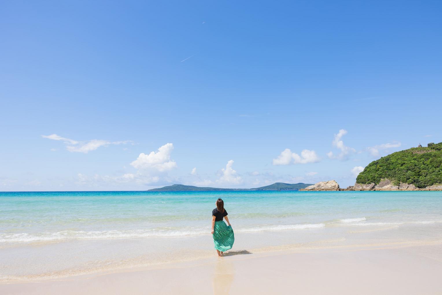 最新記事はこちらから-7