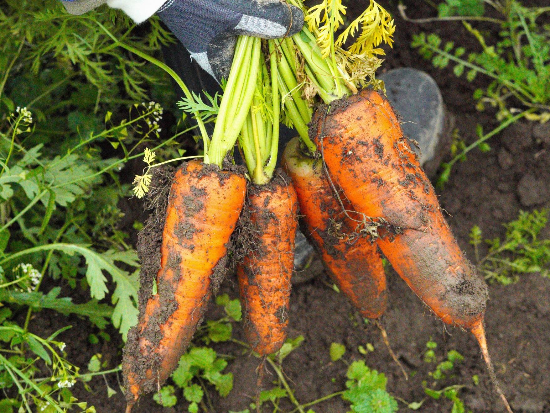 最新記事はこちらから-4