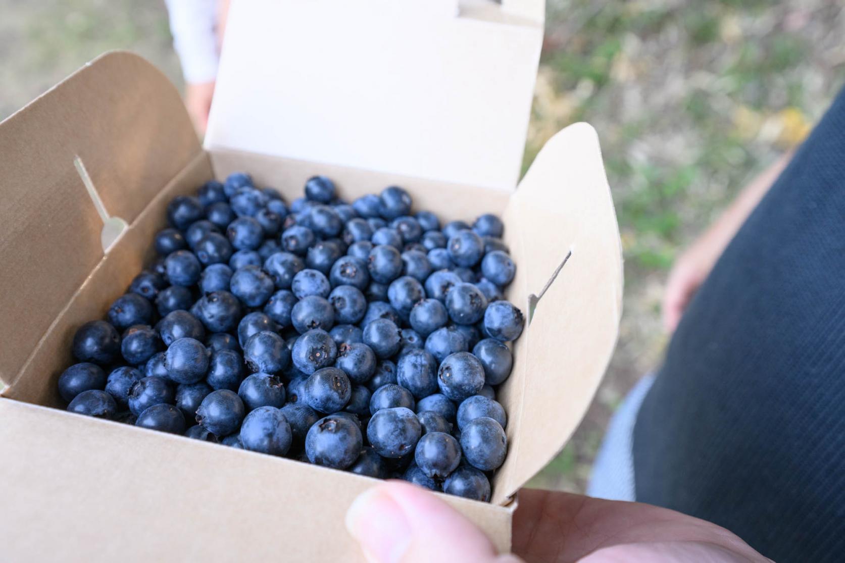 最新記事はこちらから-0