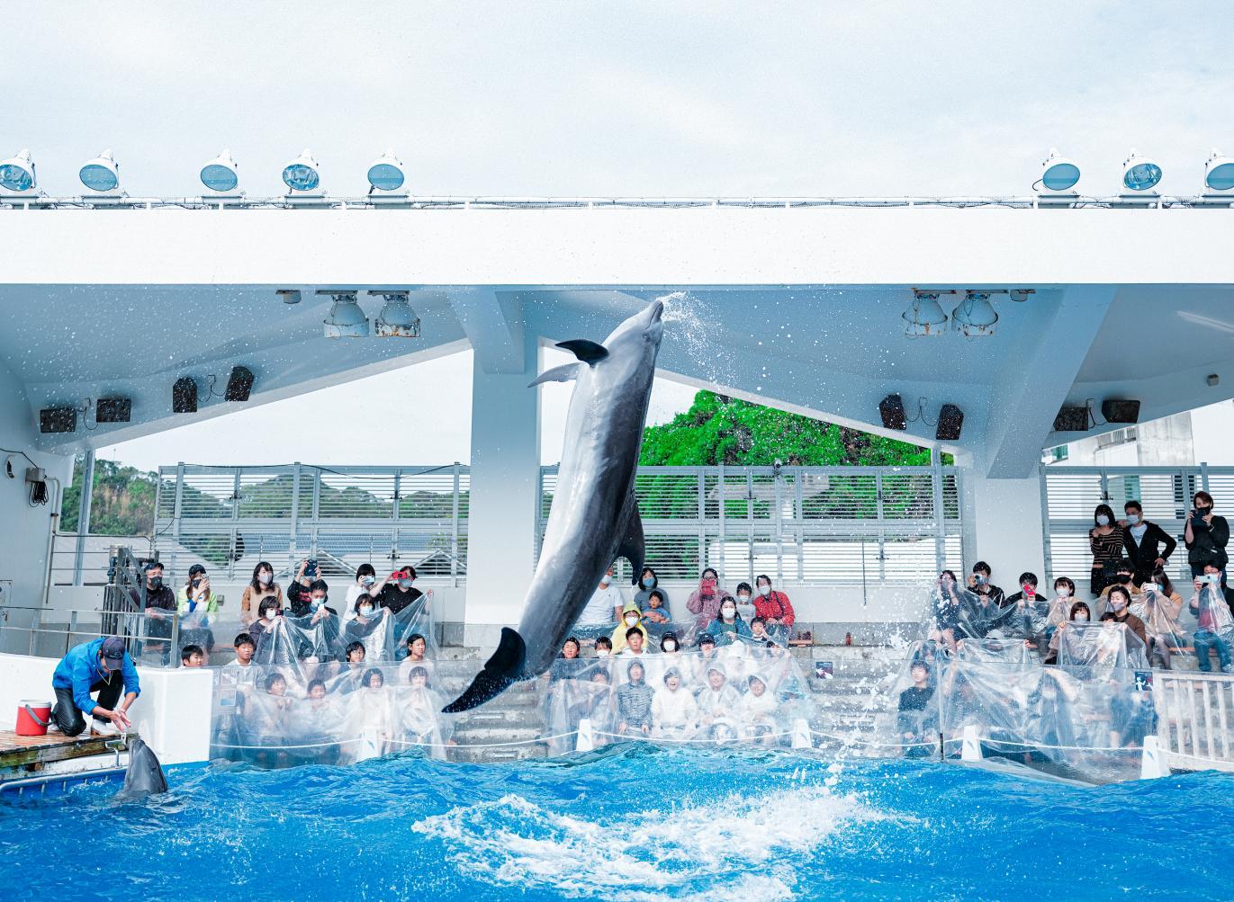 夏休みにおすすめのお出かけスポット-3