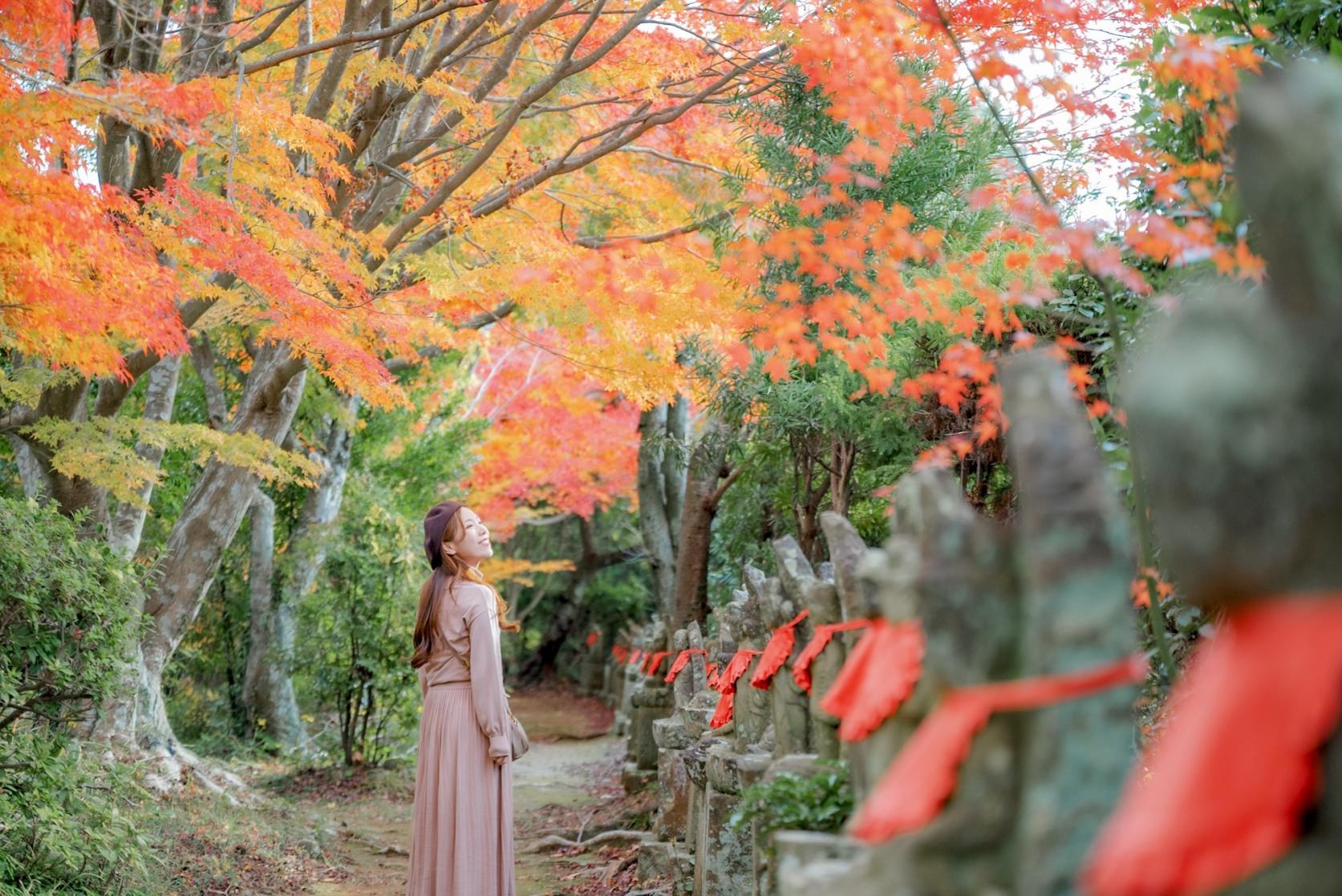 秋のおすすめ-1