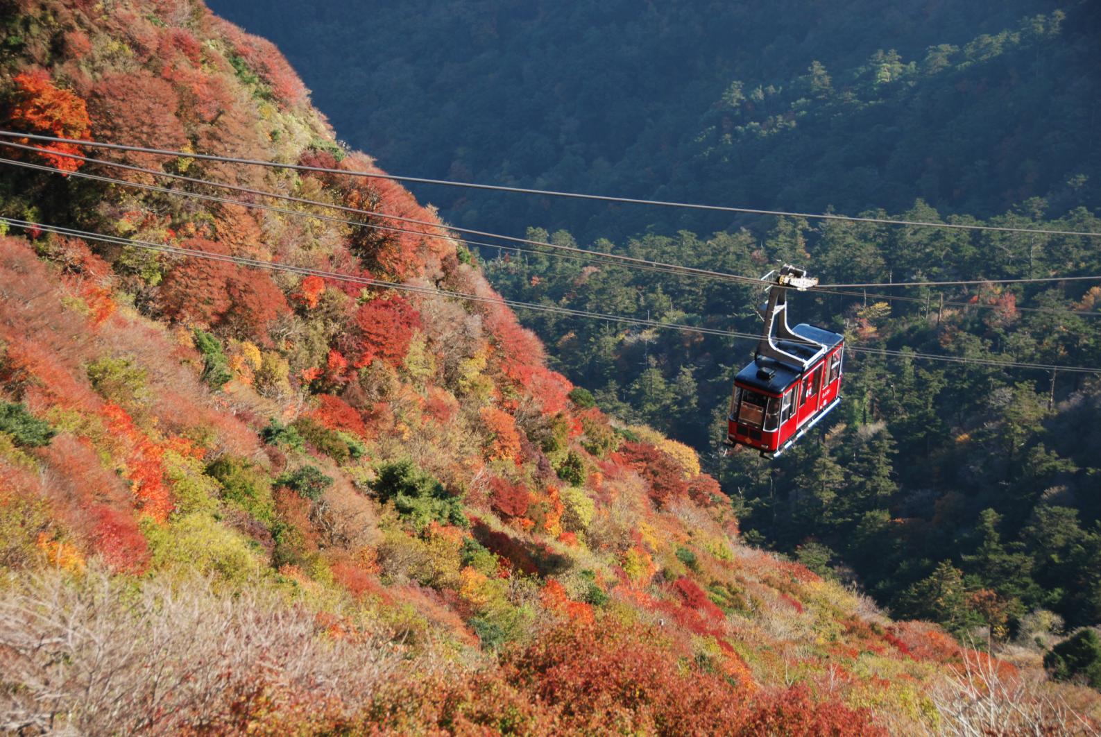 [Try walking further afield] Feel the Four Seasons of Japan at the Nita Pass Ropeway-0