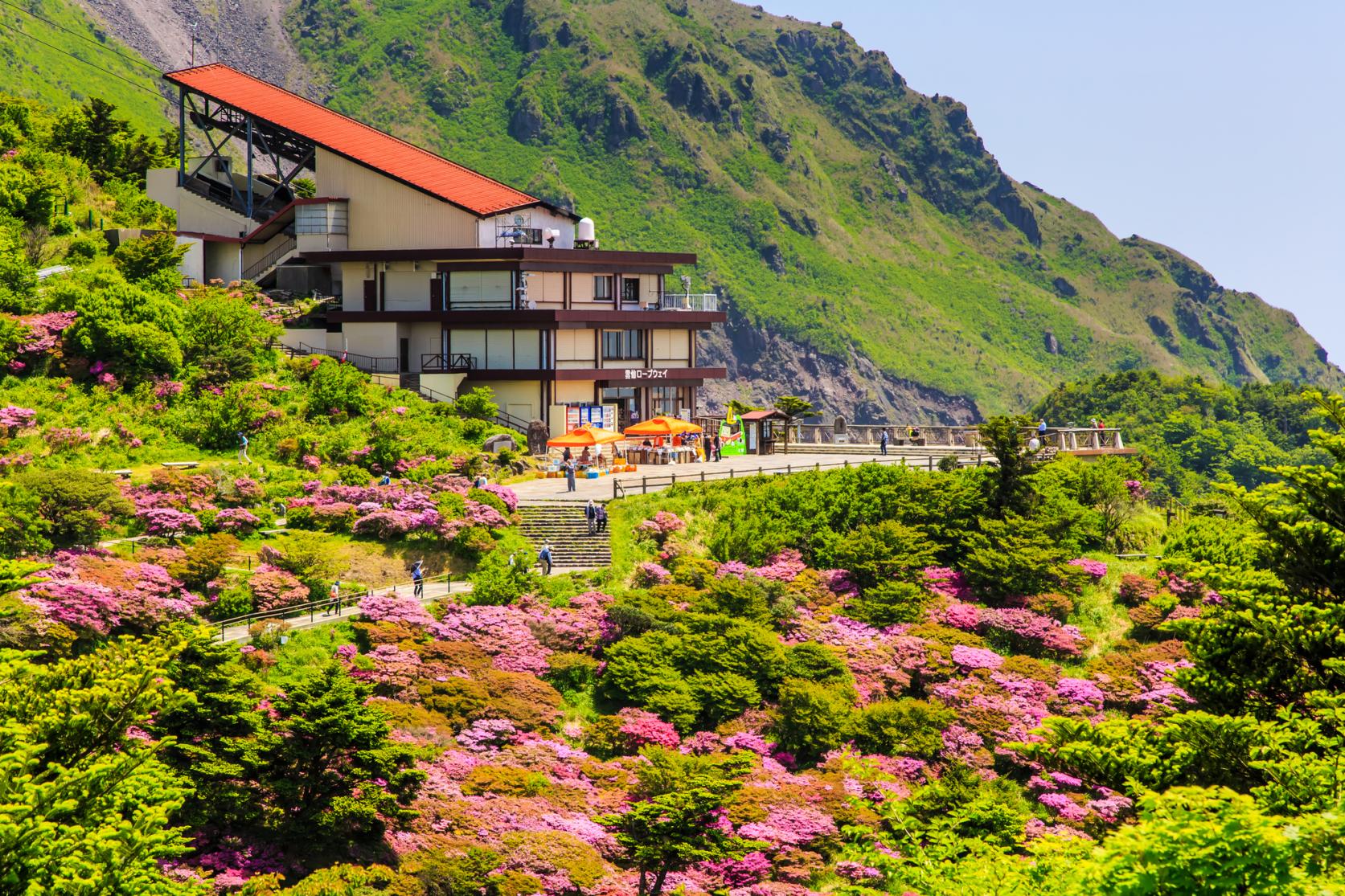 [Try walking further afield] Feel the Four Seasons of Japan at the Nita Pass Ropeway-3