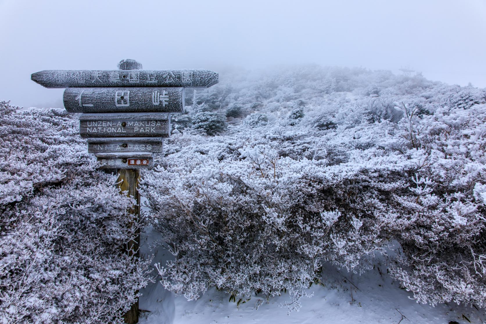 [Try walking further afield] Feel the Four Seasons of Japan at the Nita Pass Ropeway-6