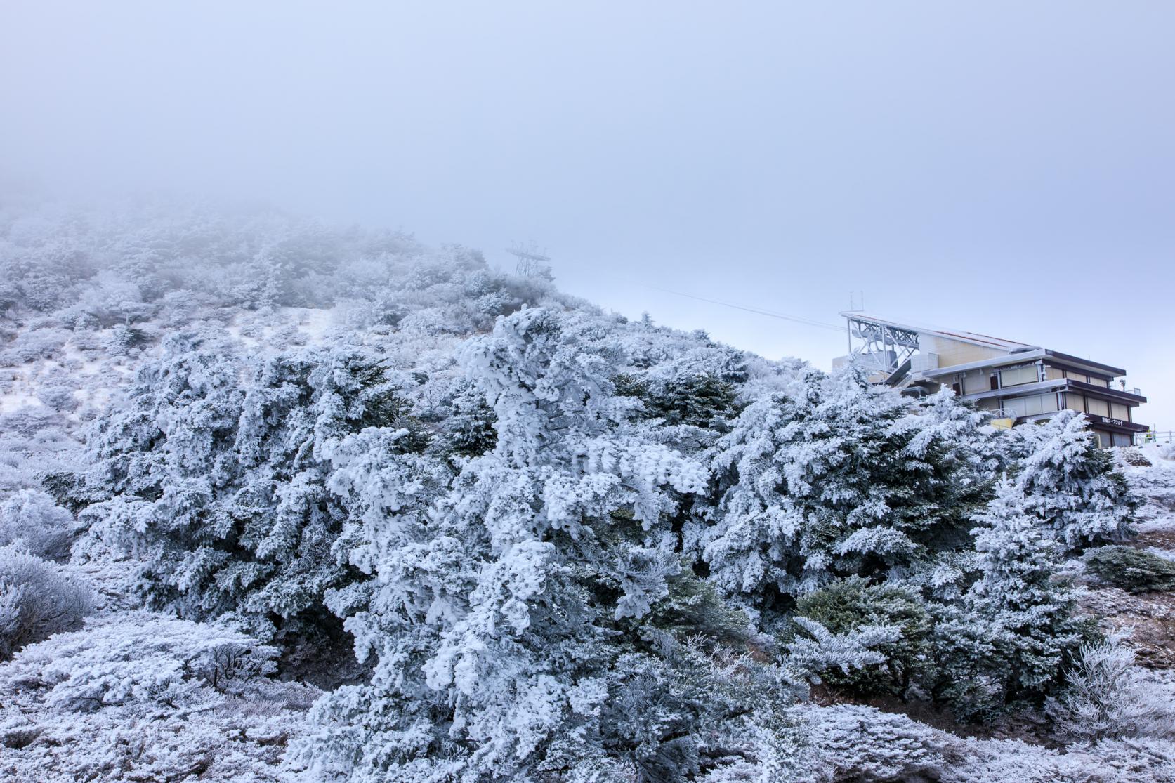 [Try walking further afield] Feel the Four Seasons of Japan at the Nita Pass Ropeway-7