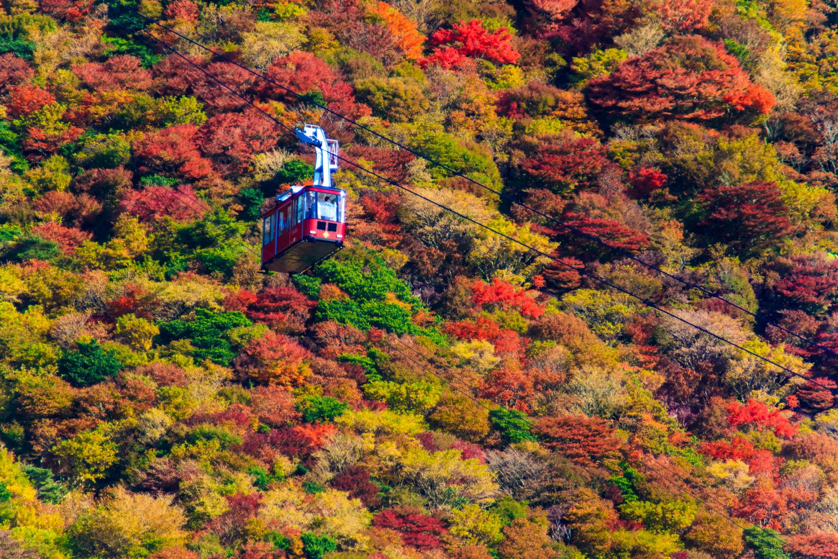 [Try walking further afield] Feel the Four Seasons of Japan at the Nita Pass Ropeway-4