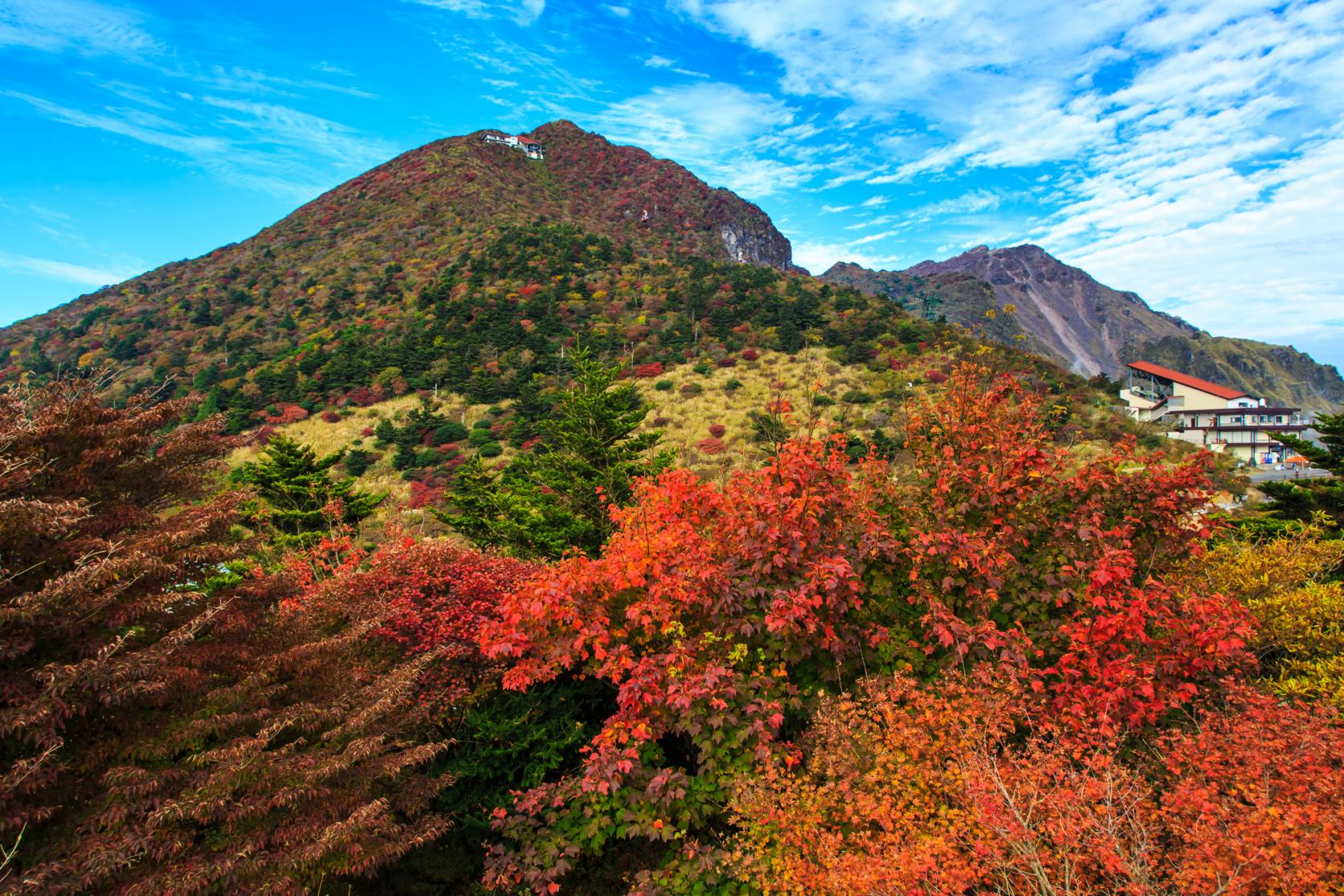 [Try walking further afield] Feel the Four Seasons of Japan at the Nita Pass Ropeway-5