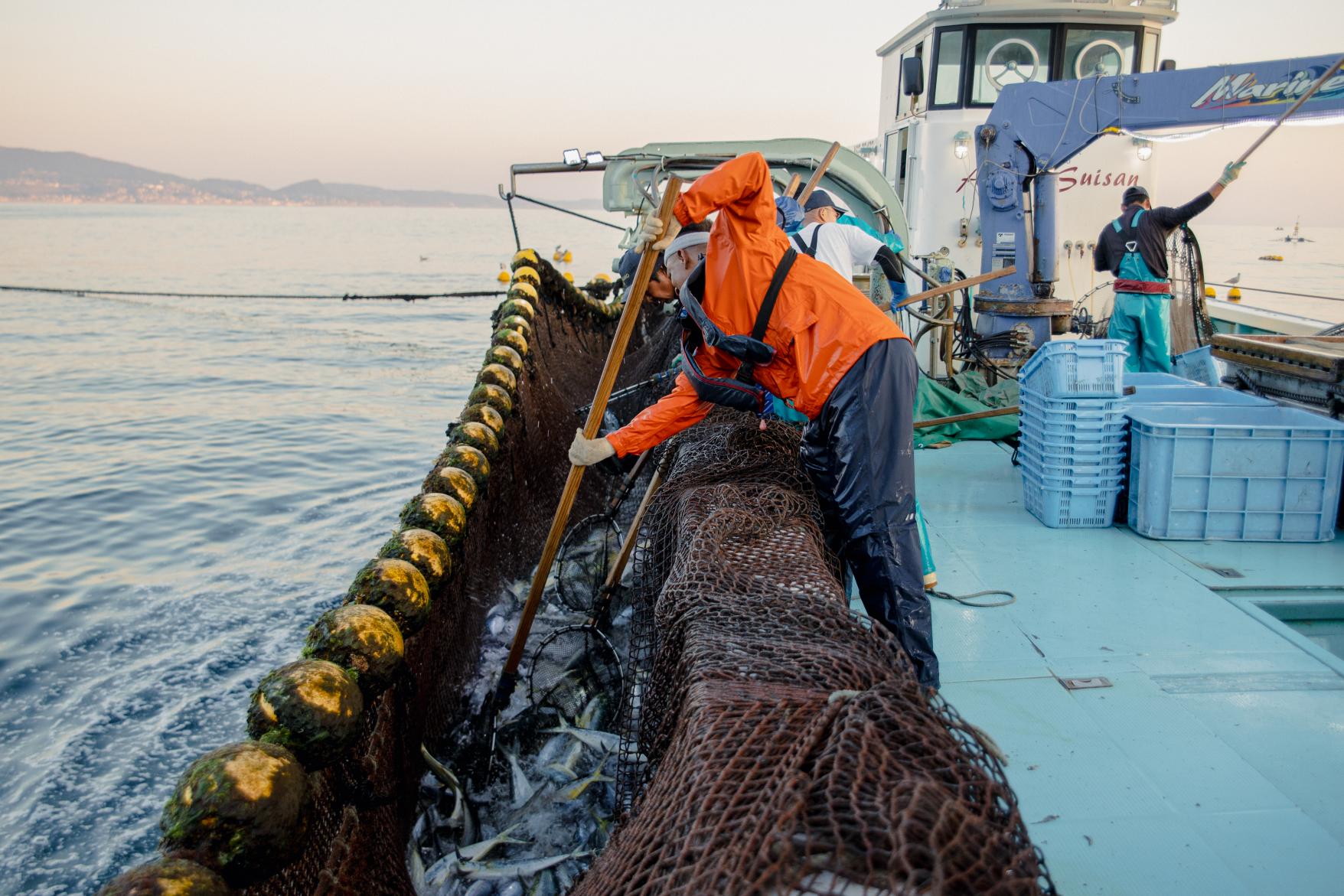 Hirado: Fisherman’s Experience-0