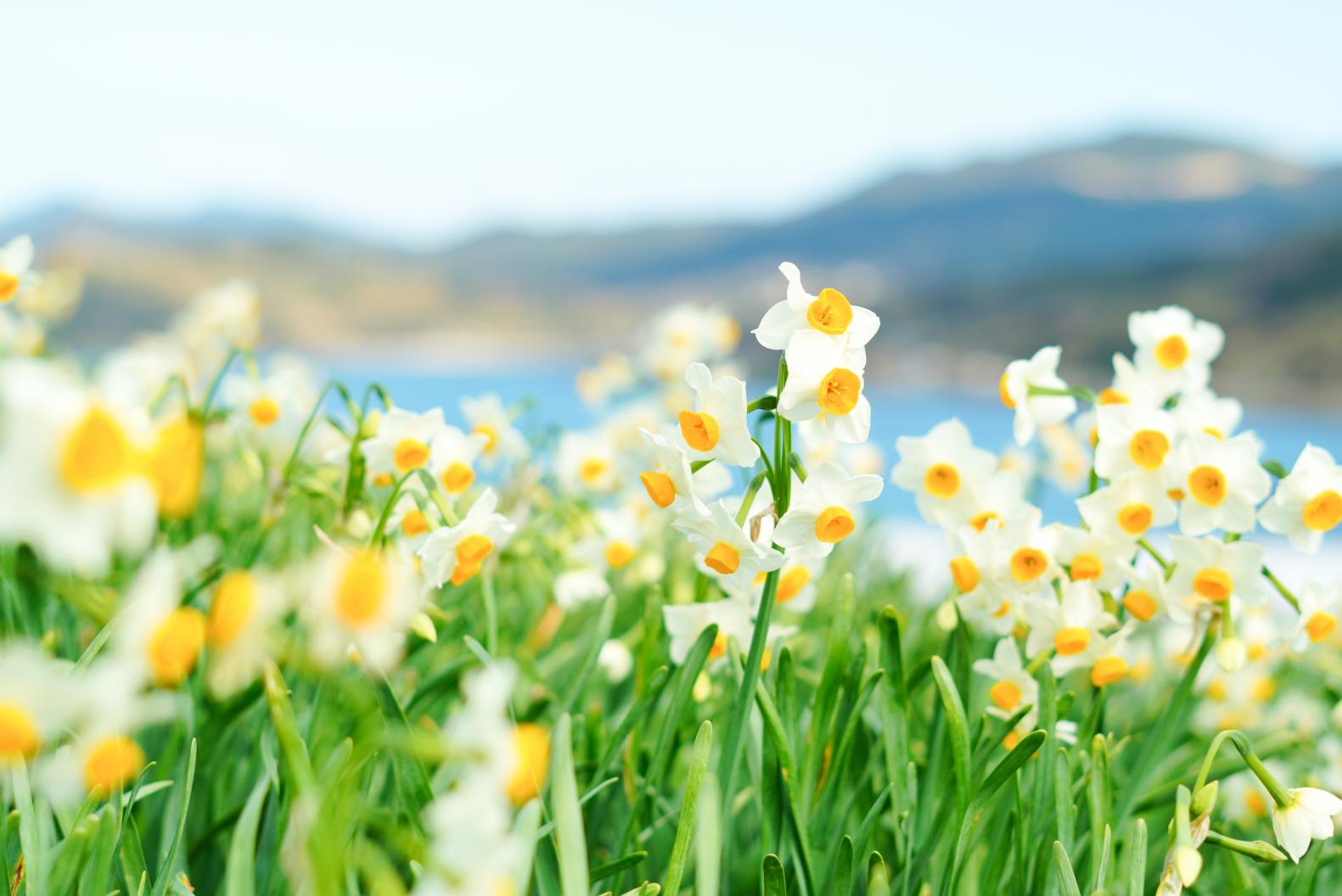 冬のおすすめ-7