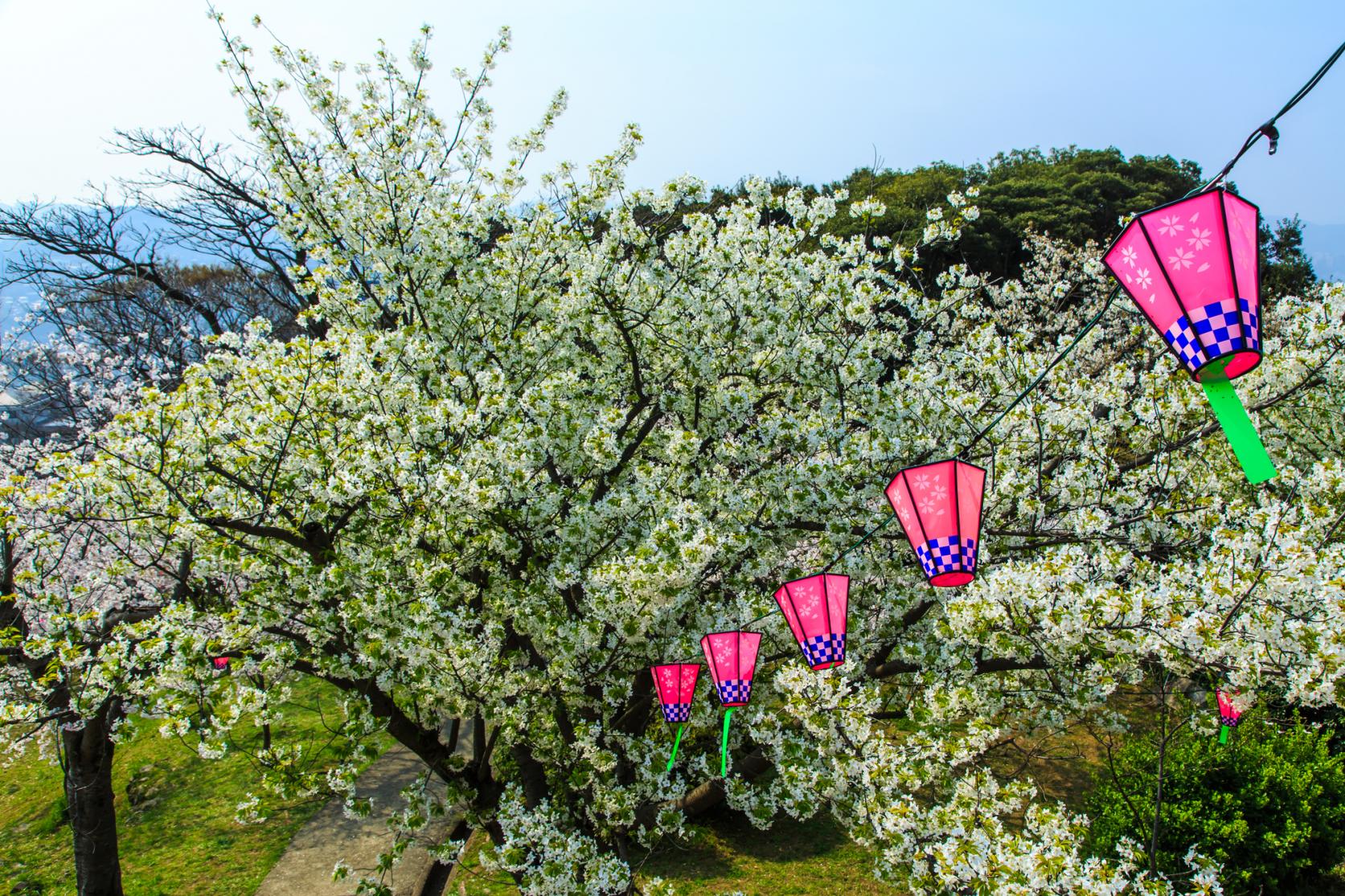 Experience the Changing Seasons at Classic Sightseeing Spots!-1