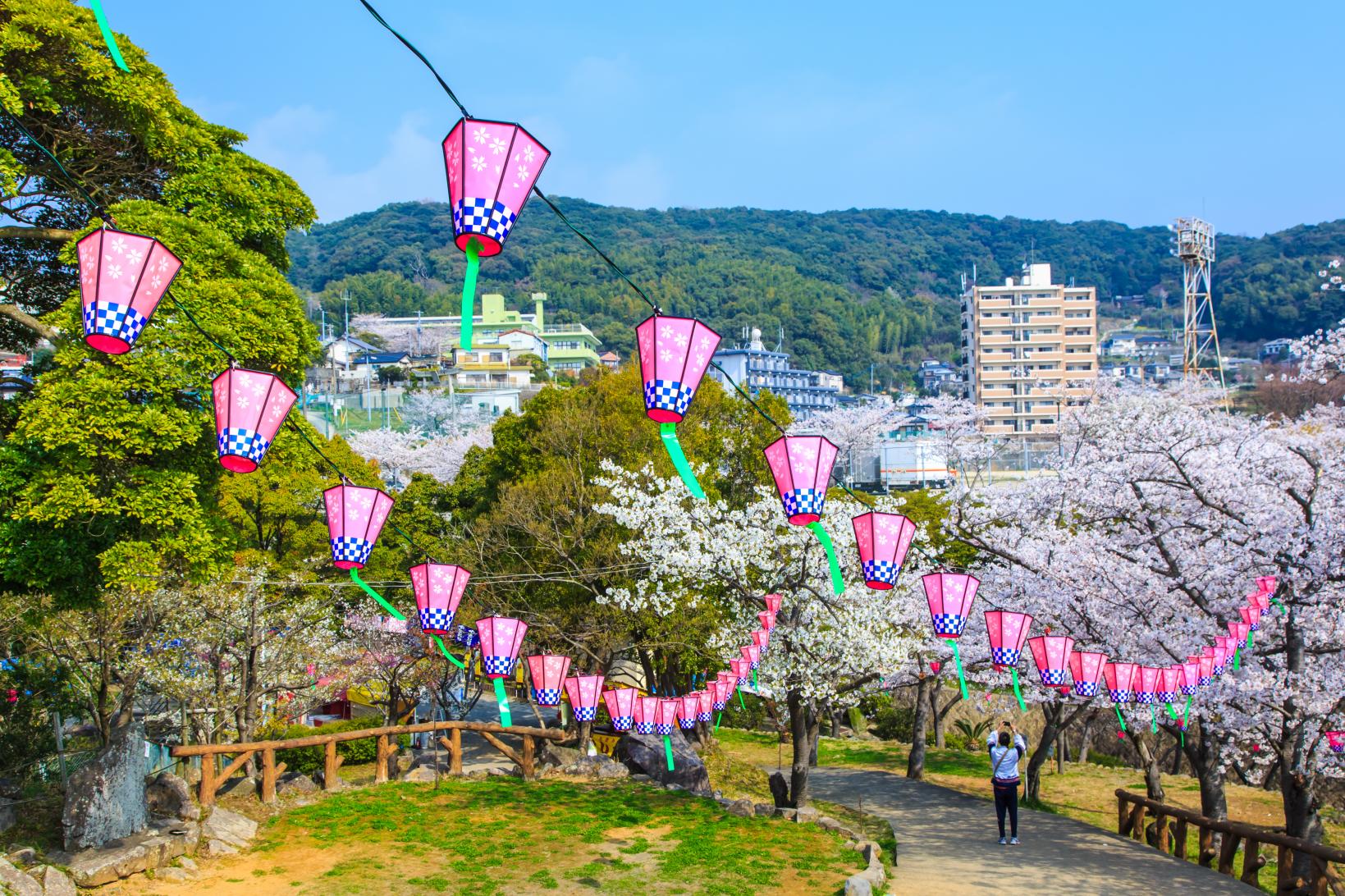 Experience the Changing Seasons at Classic Sightseeing Spots!-4