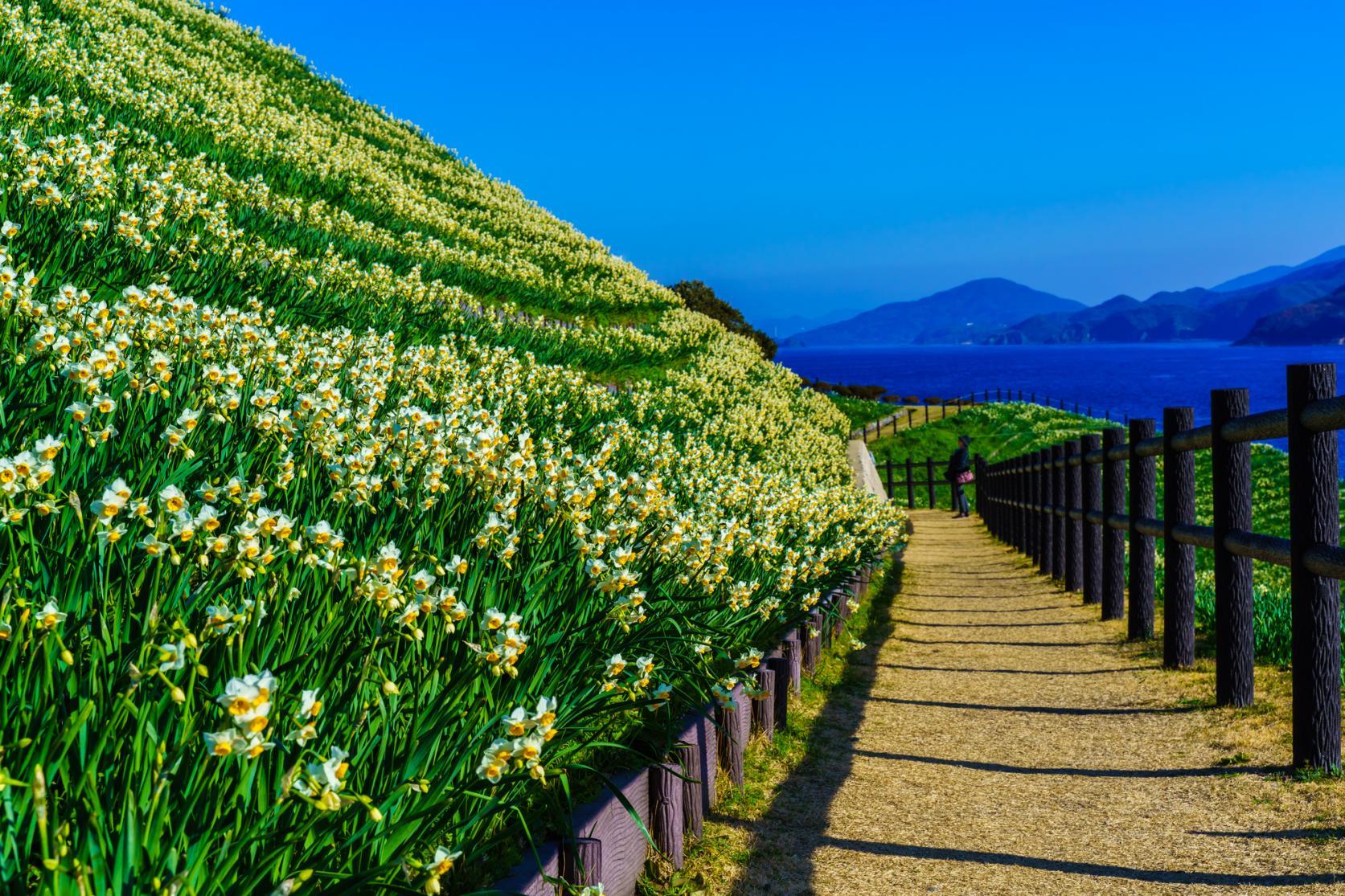 Recommended for Autumn-Winter! Popular Tourist Spots-3