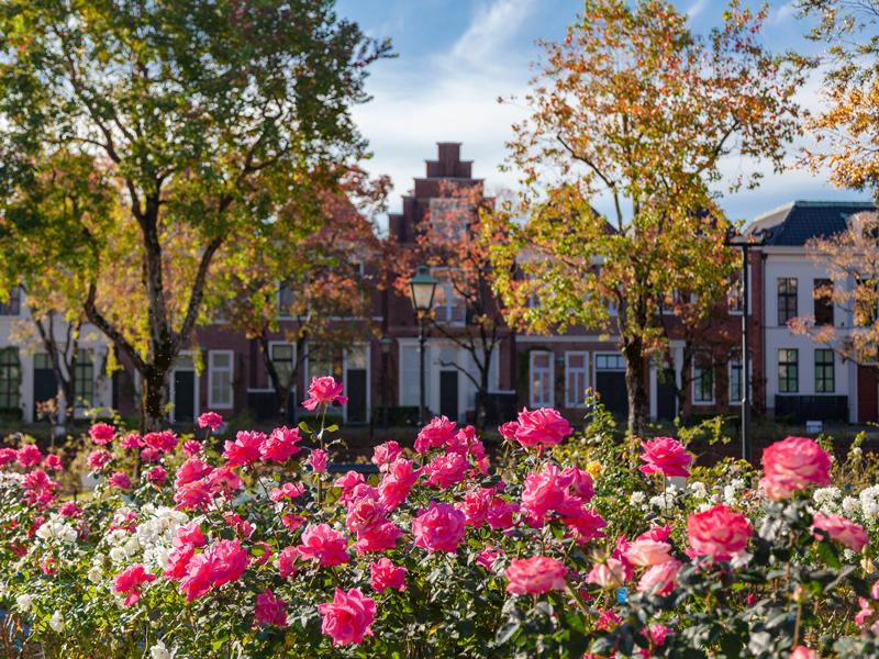 Don’t Miss this Place! A Popular Spot in Autumn and Winter-0