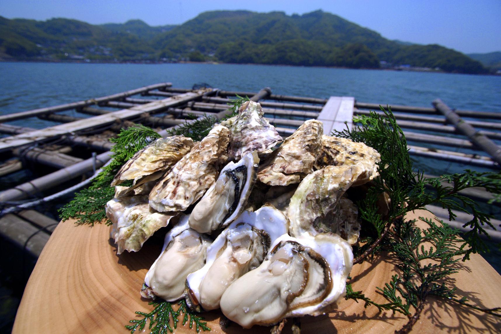 長崎的魚種數量居日本之冠！生魚片新鮮美味，種類豐富！-4
