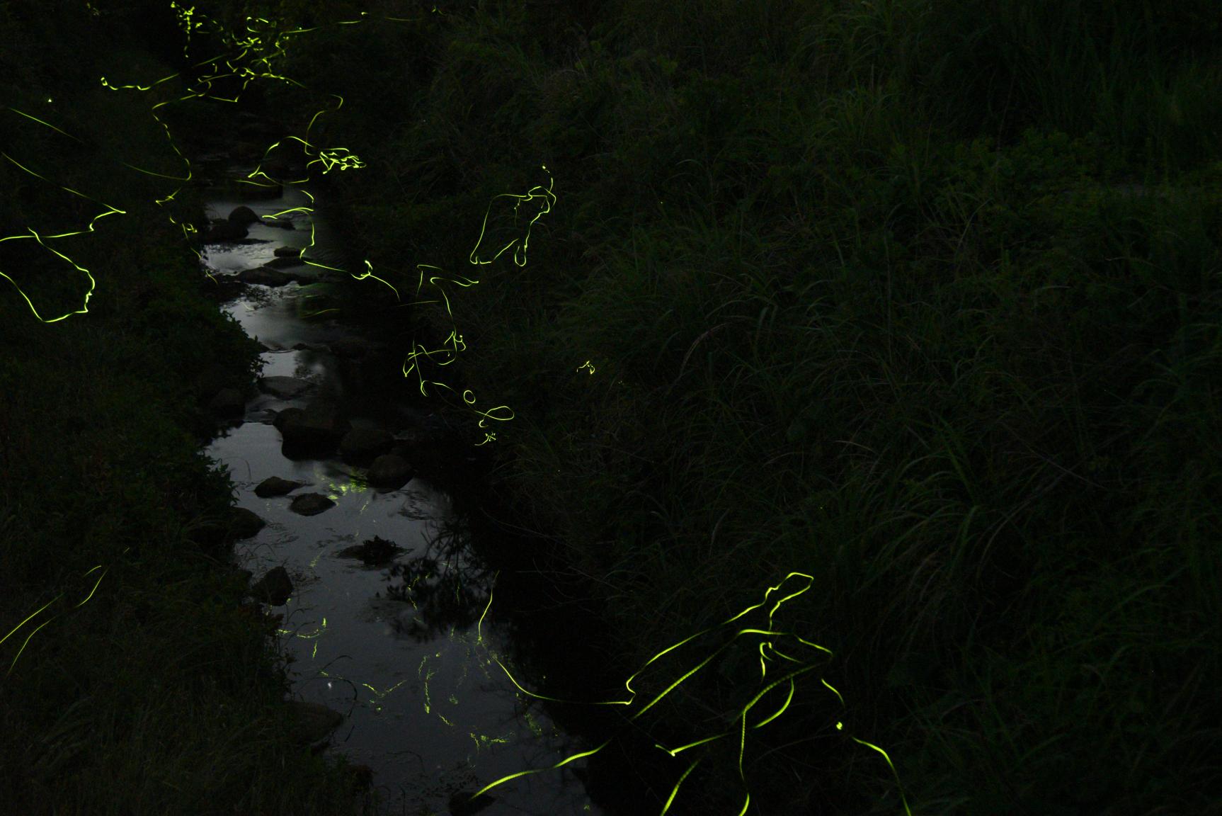 Summer in Goto (June to August)-1