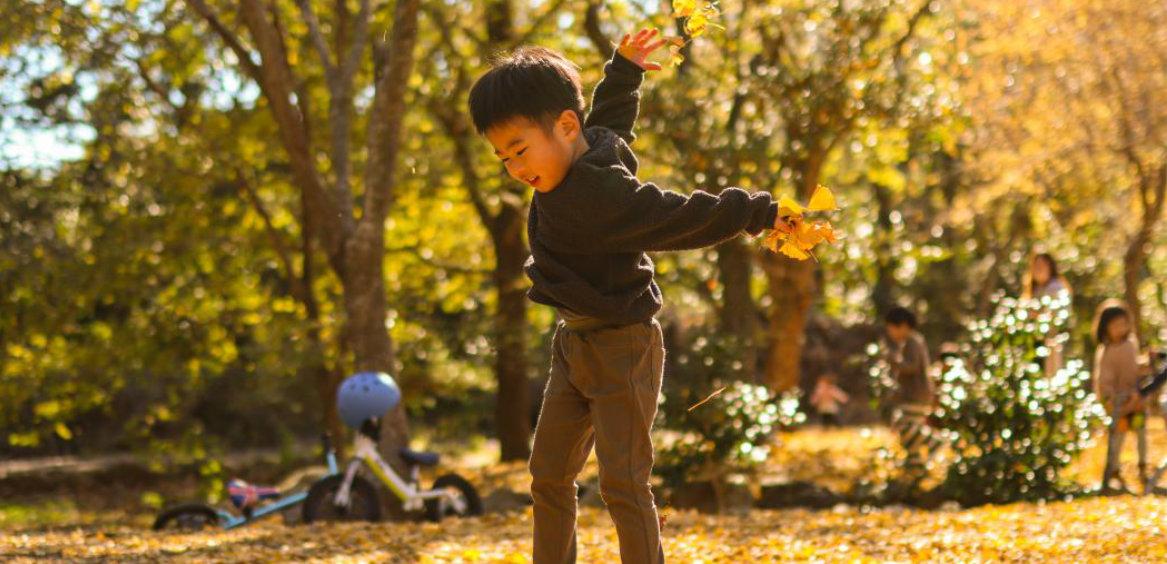 Fall in Goto (September to November)-1