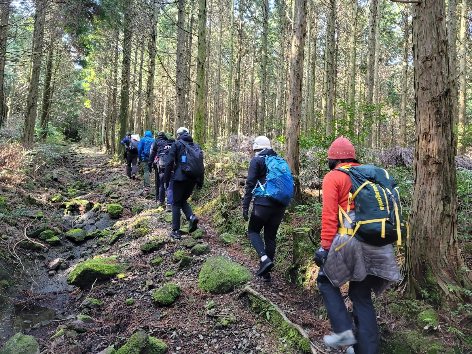 【DAY2】 Mt. Kusenbudake Trekking-0