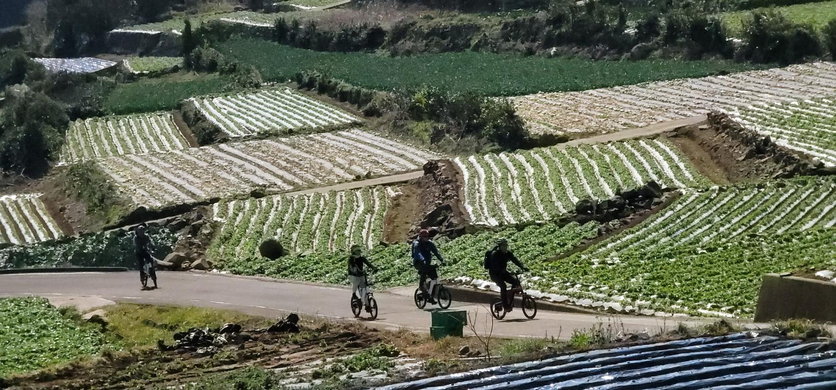 【DAY4】 Kunisaki Peninsula Cycling-0