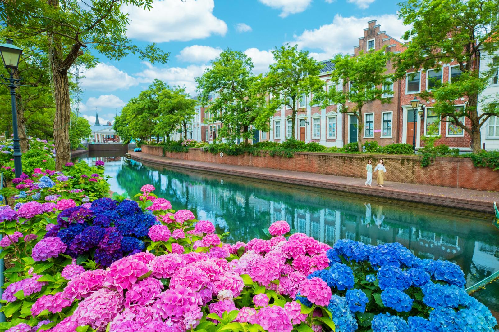 City of Flowers: A Blooming Paradise Awaits All Year Round-3