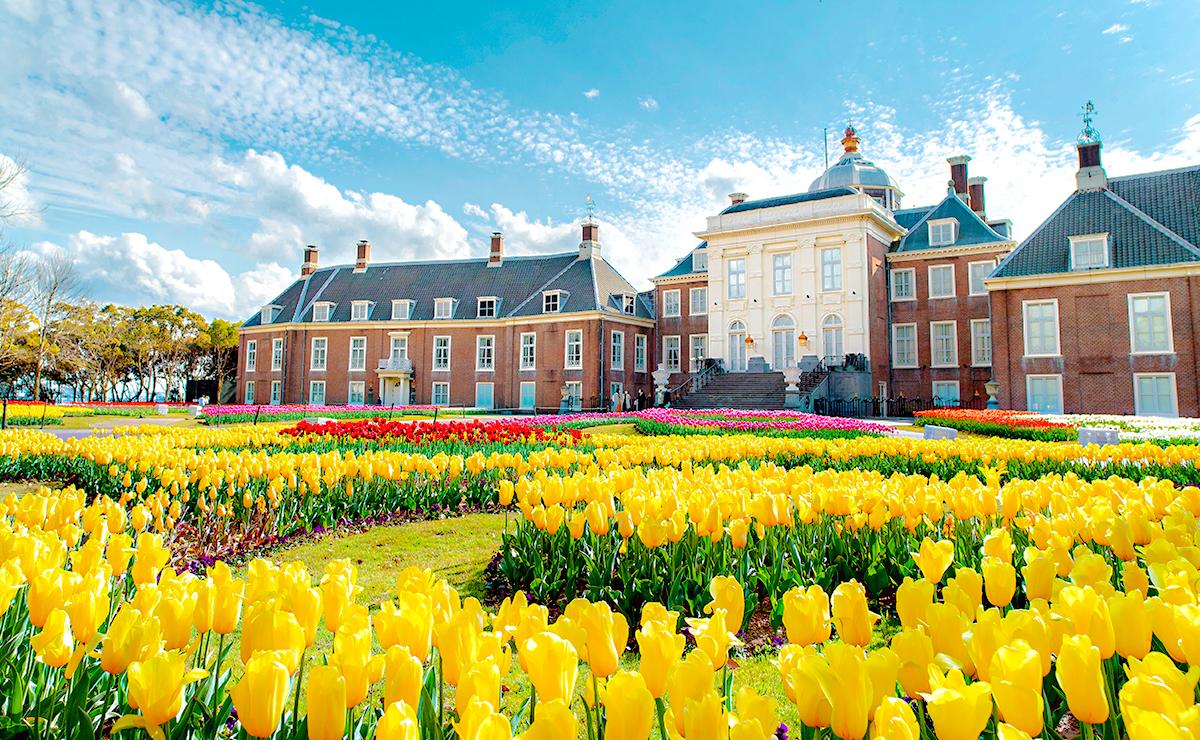 City of Flowers: A Blooming Paradise Awaits All Year Round-2