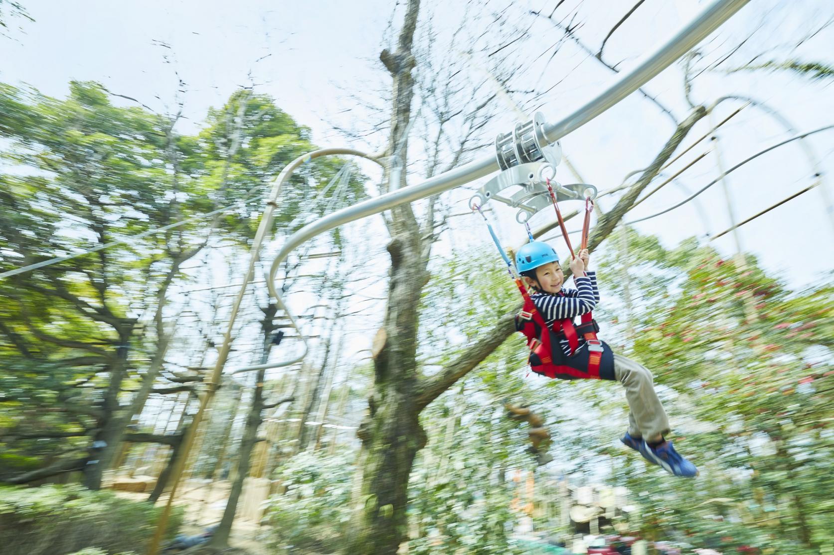 Ride, Explore, Experience: Various Attractions Are Here for You!-1