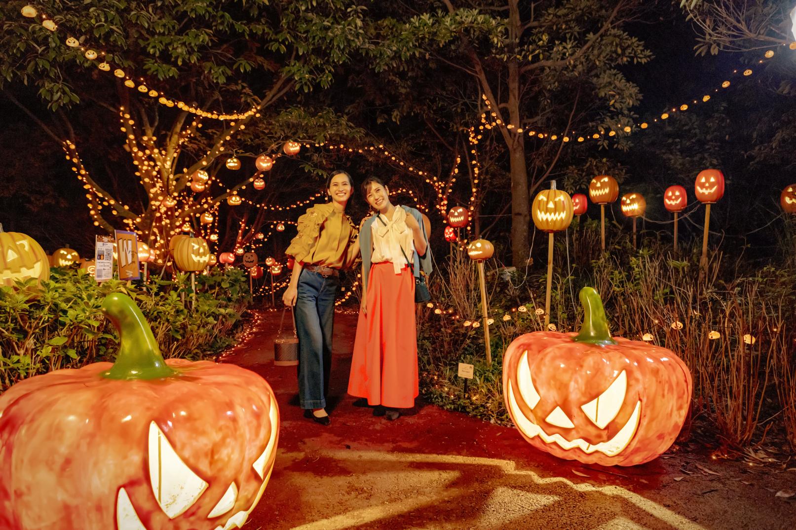 Year-Round Magic: Seasonal Events Throughout a Year-2