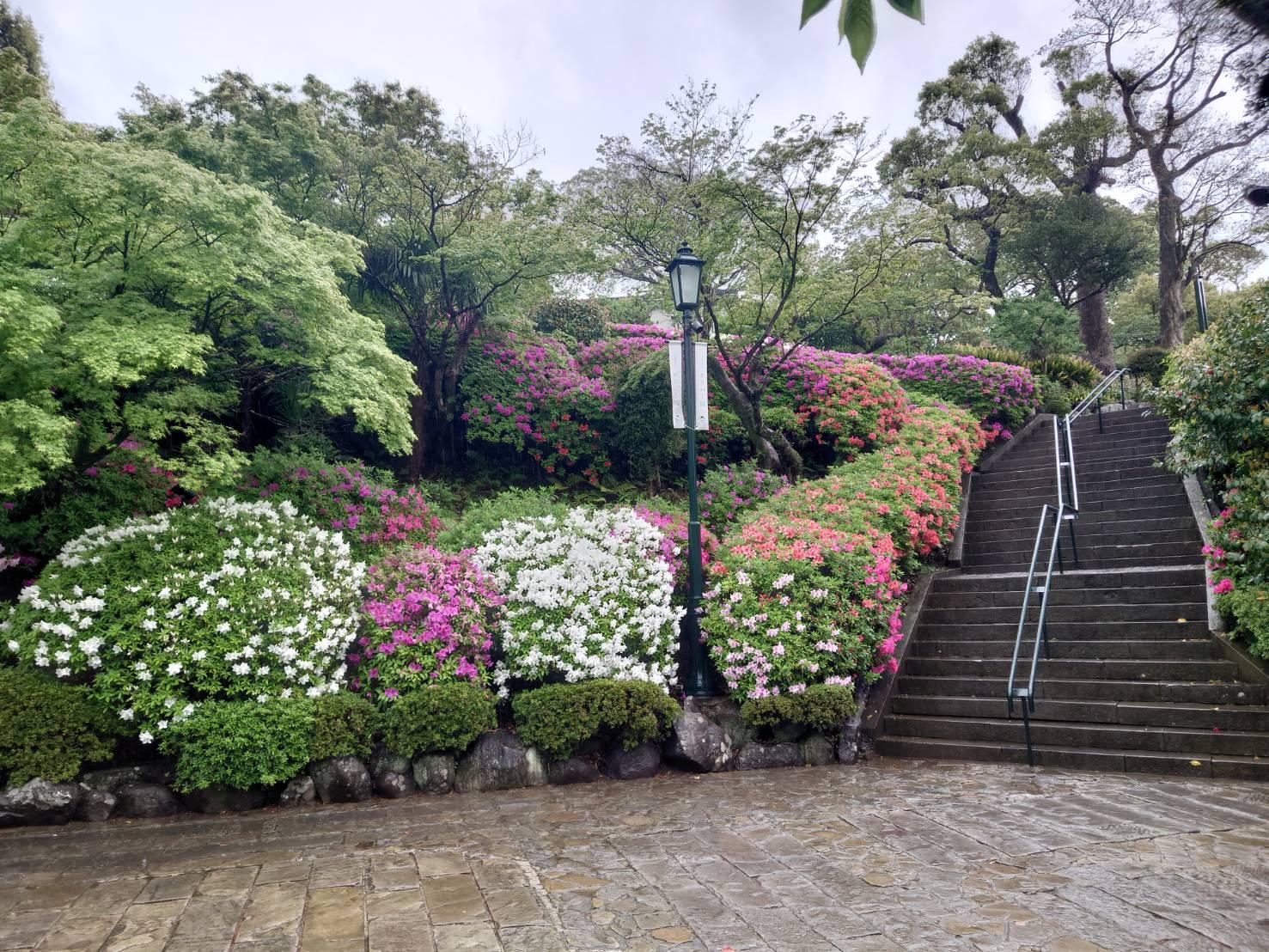 おすすめ花スポット「グラバー園」-5