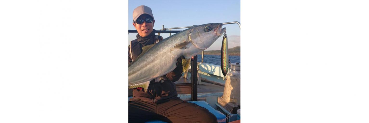 在五島可釣到的代表性魚類「黃尾鰤」-0