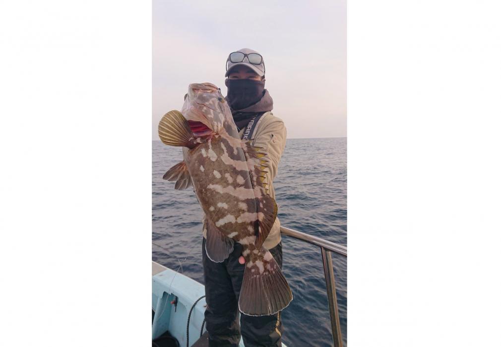 很少釣到的巨大魚類「褐帶石斑魚」-0