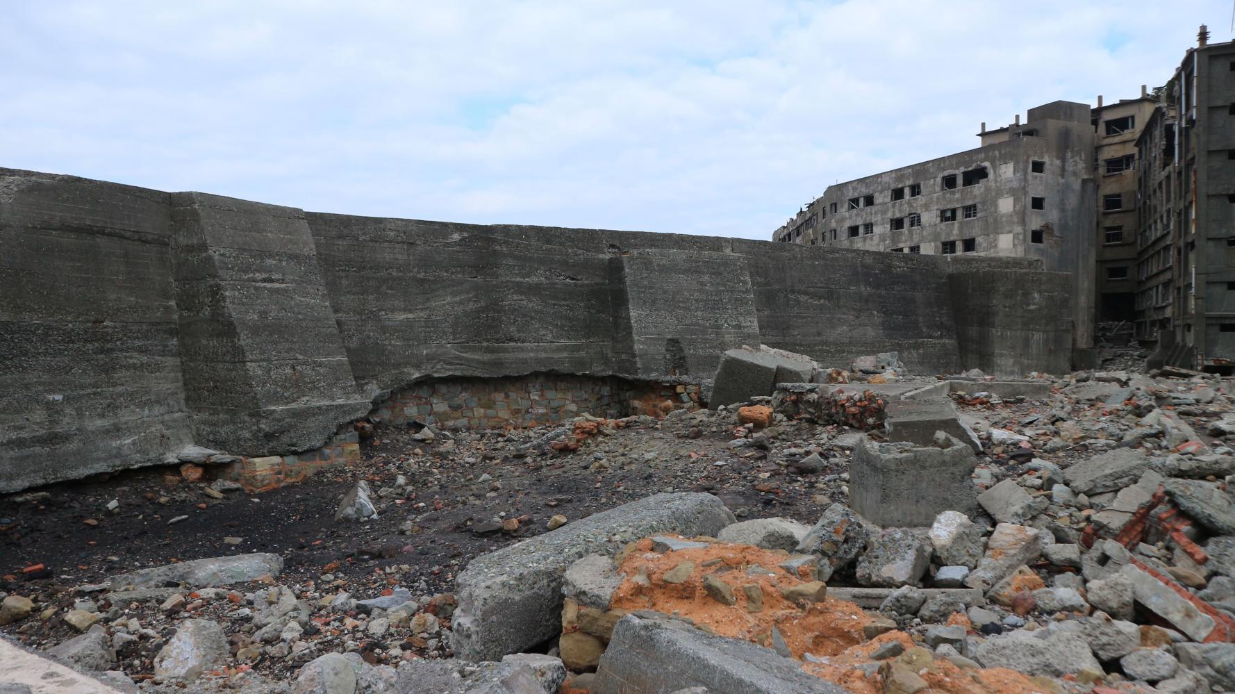 写真ギャラリー-8