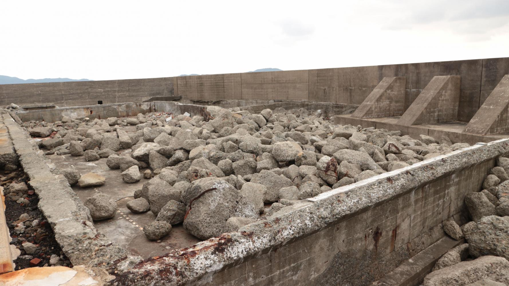 写真ギャラリー-9