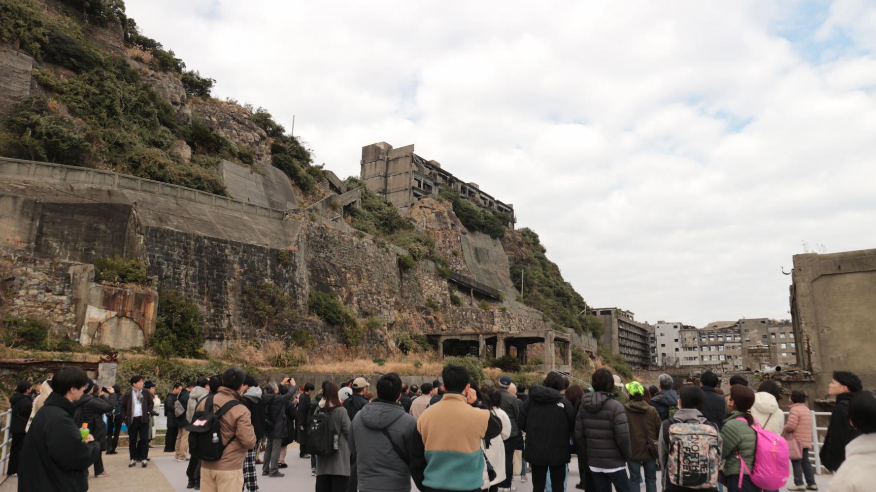 写真ギャラリー-2