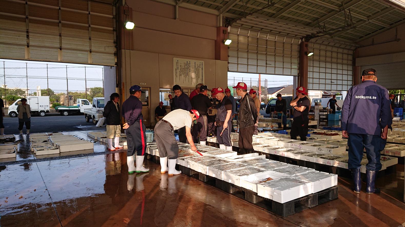 魚種が豊富な海の幸！-1