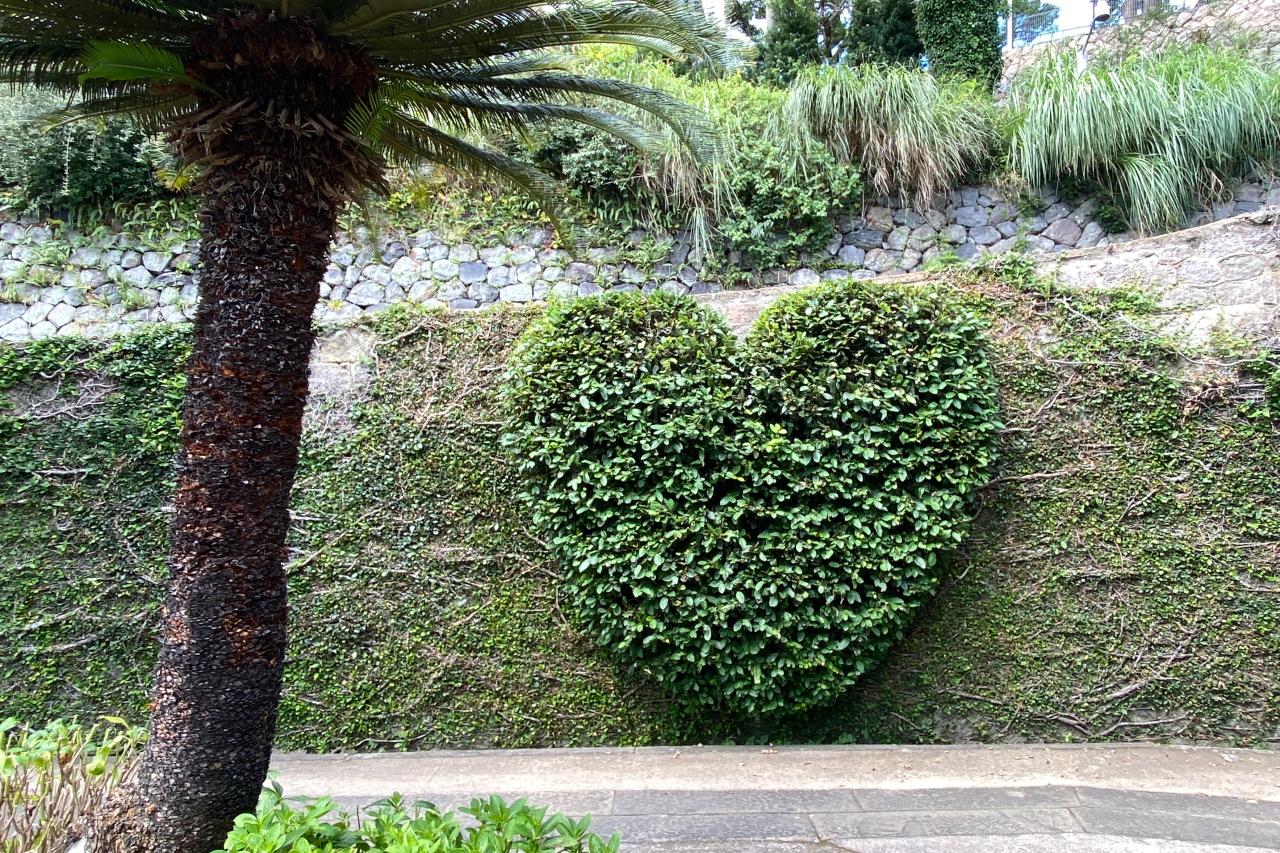 気軽に行ける眺望スポット-2
