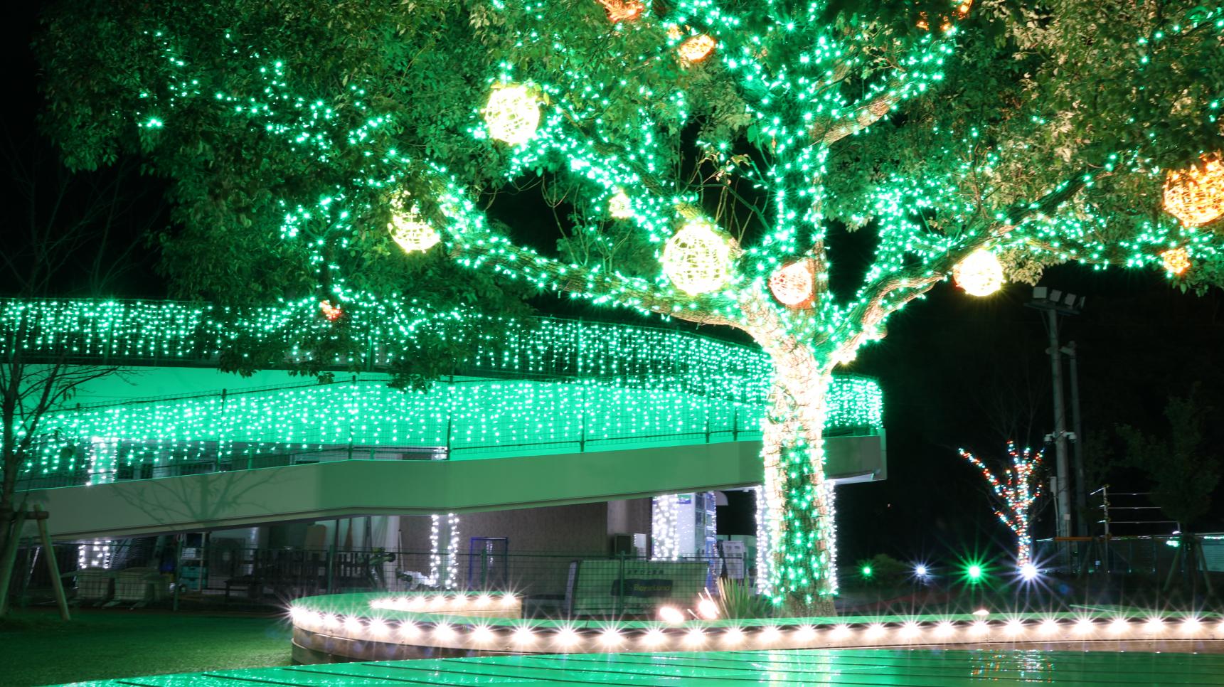 グルーンおおむら（大村市）-0