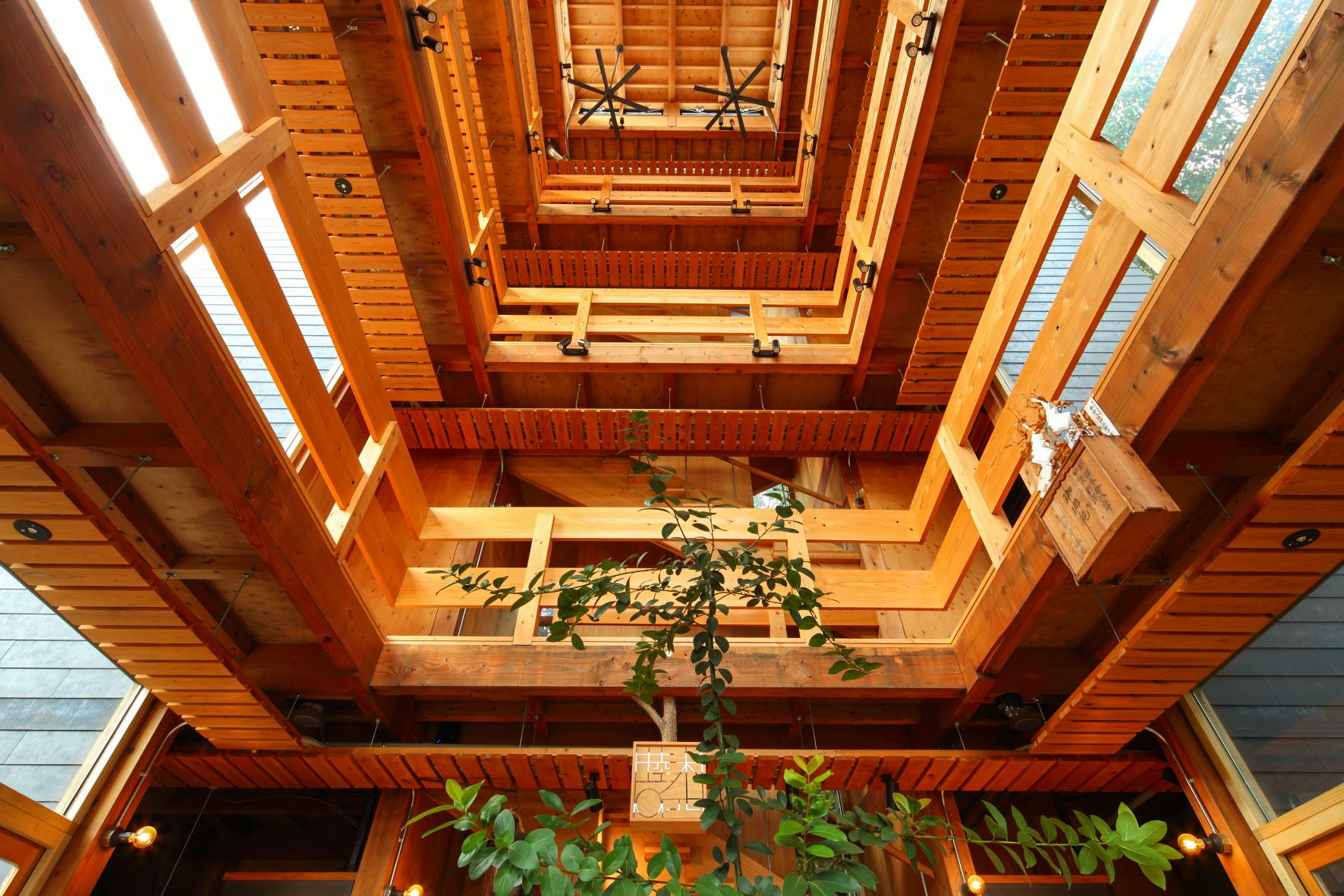 睦モクヨンビル D・D cafe-4