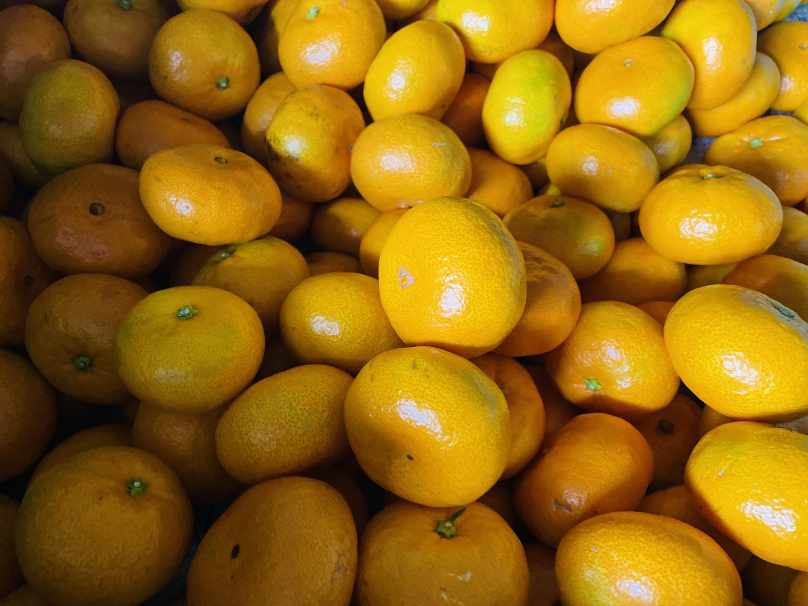 12/18（木）・19（金）｜出展商品-4