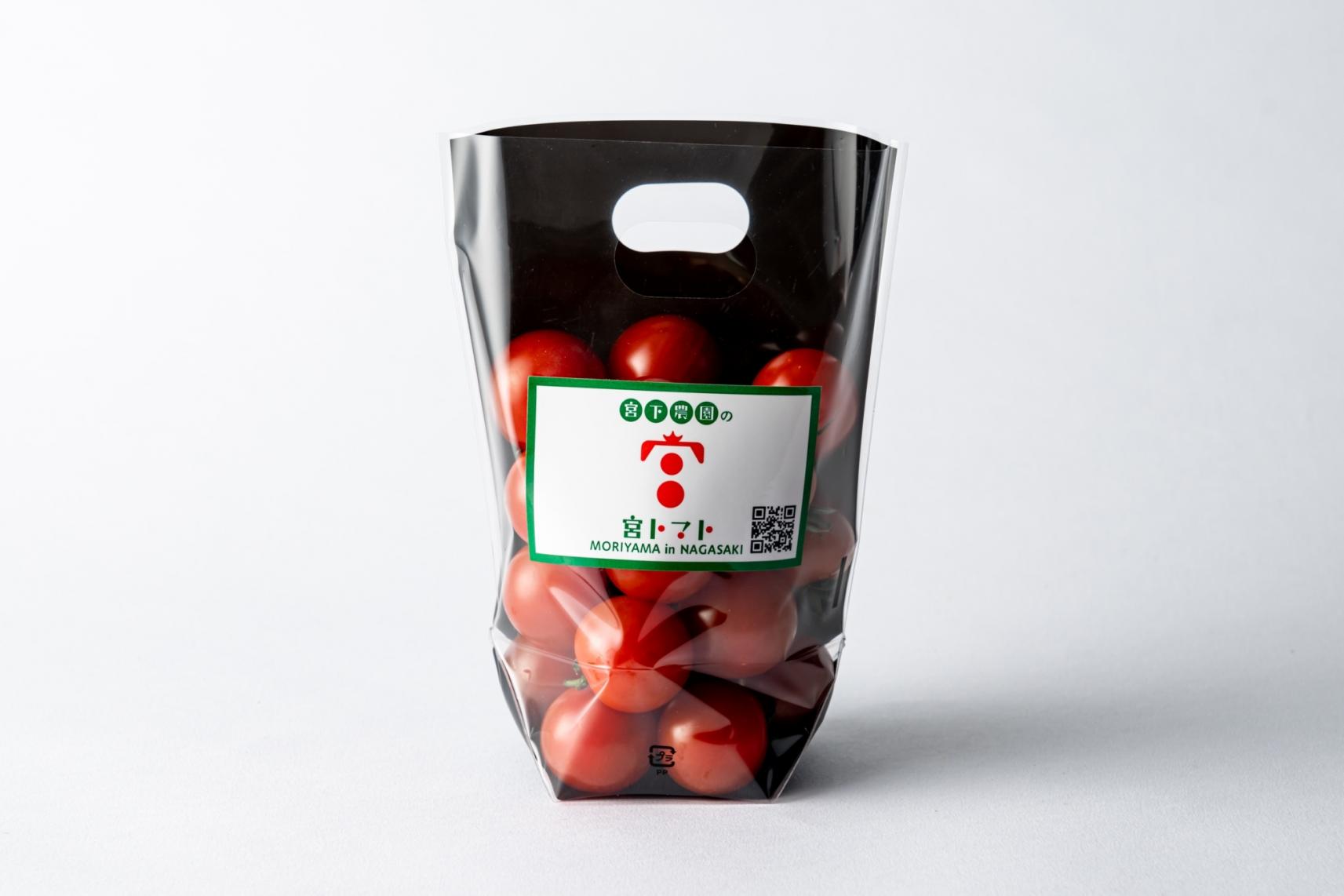 12/16（火）・17（水）｜出展商品-1