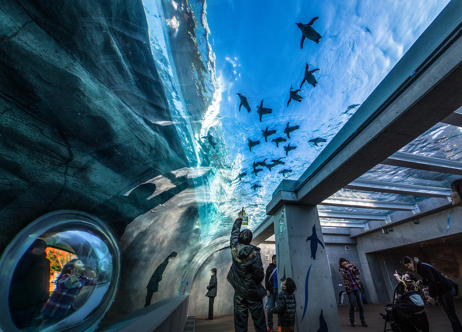 2. Sasebo: Huis Ten Bosch/Kujukushima-1