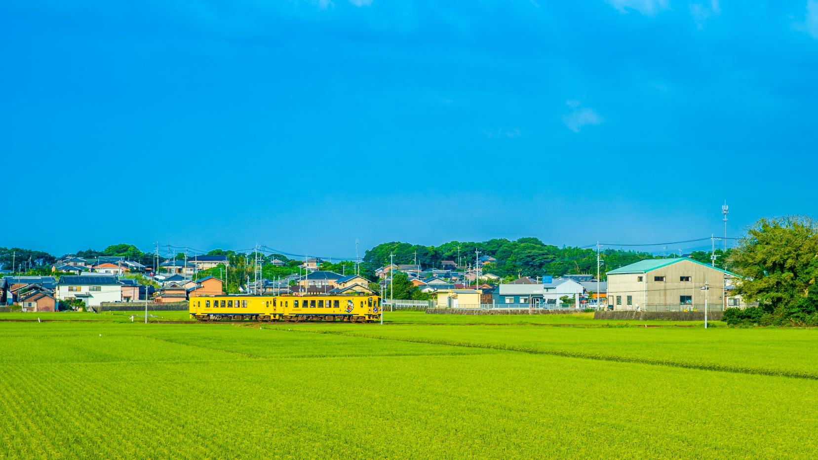 島原鉄道で行く“しまばら満喫旅”-1