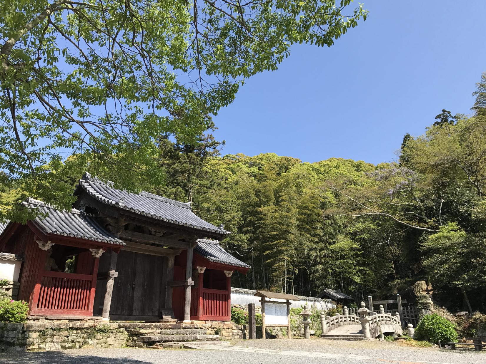 【厳原港発】対馬の歴史と絶景めぐり-1