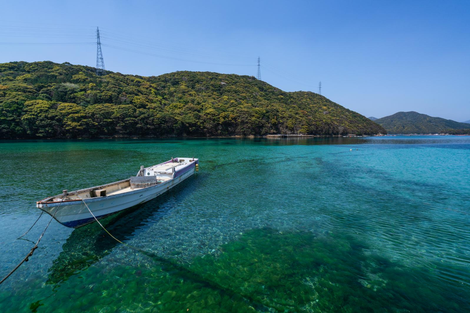 A Relaxing Getaway on the Island of Goto Udon & Tsubaki Flowers - Shinkamigoto (3 Days)-1