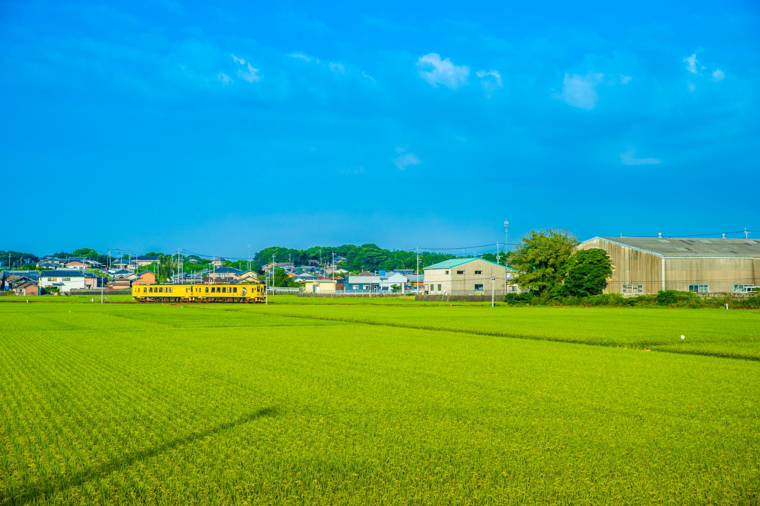 나가사키 열차 여행