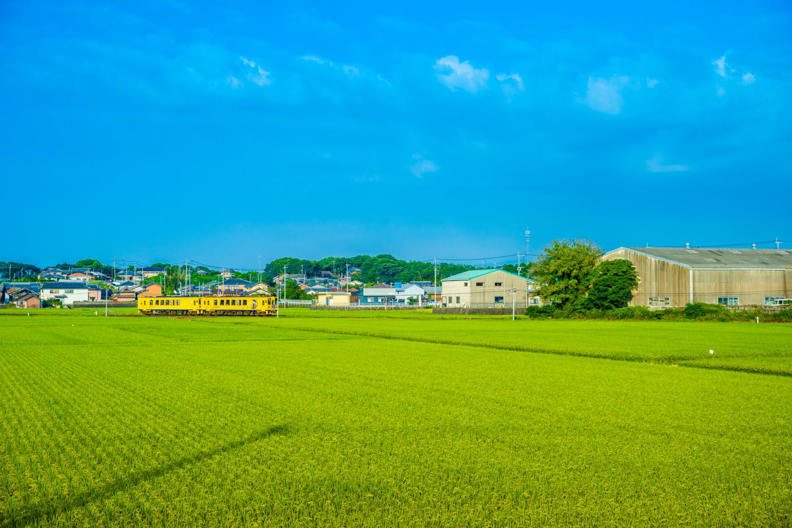 长崎 列车之旅-1