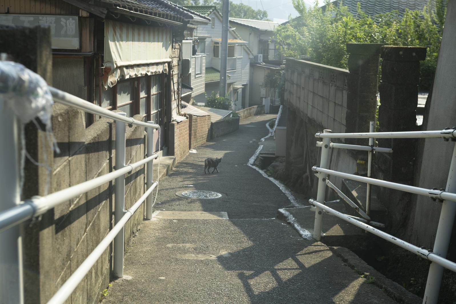 映画『夏の砂の上』