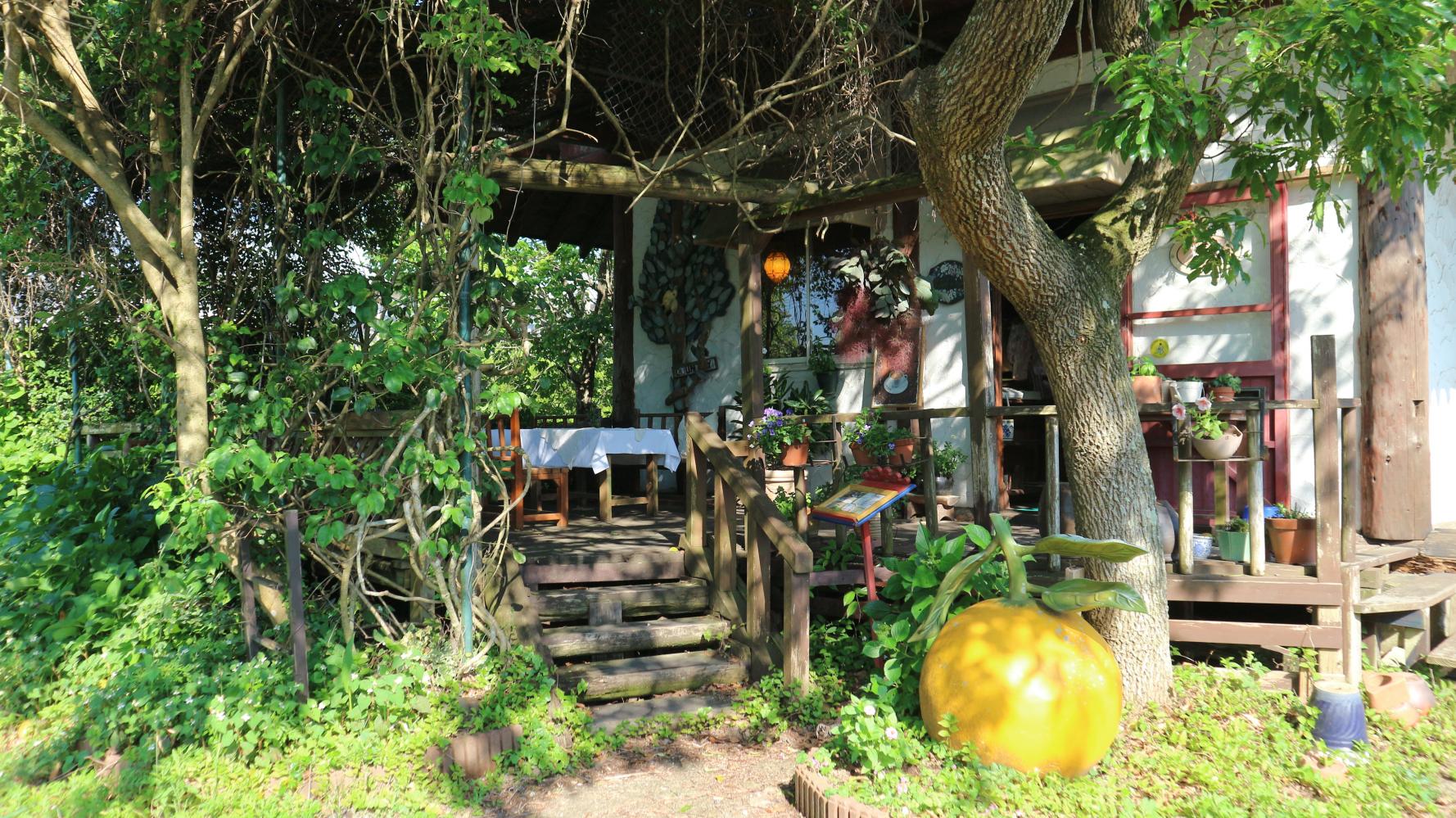 岩﨑さん撮影