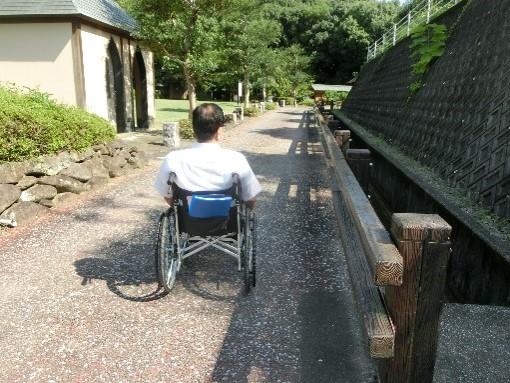 トイレ小屋までの舗装路-0