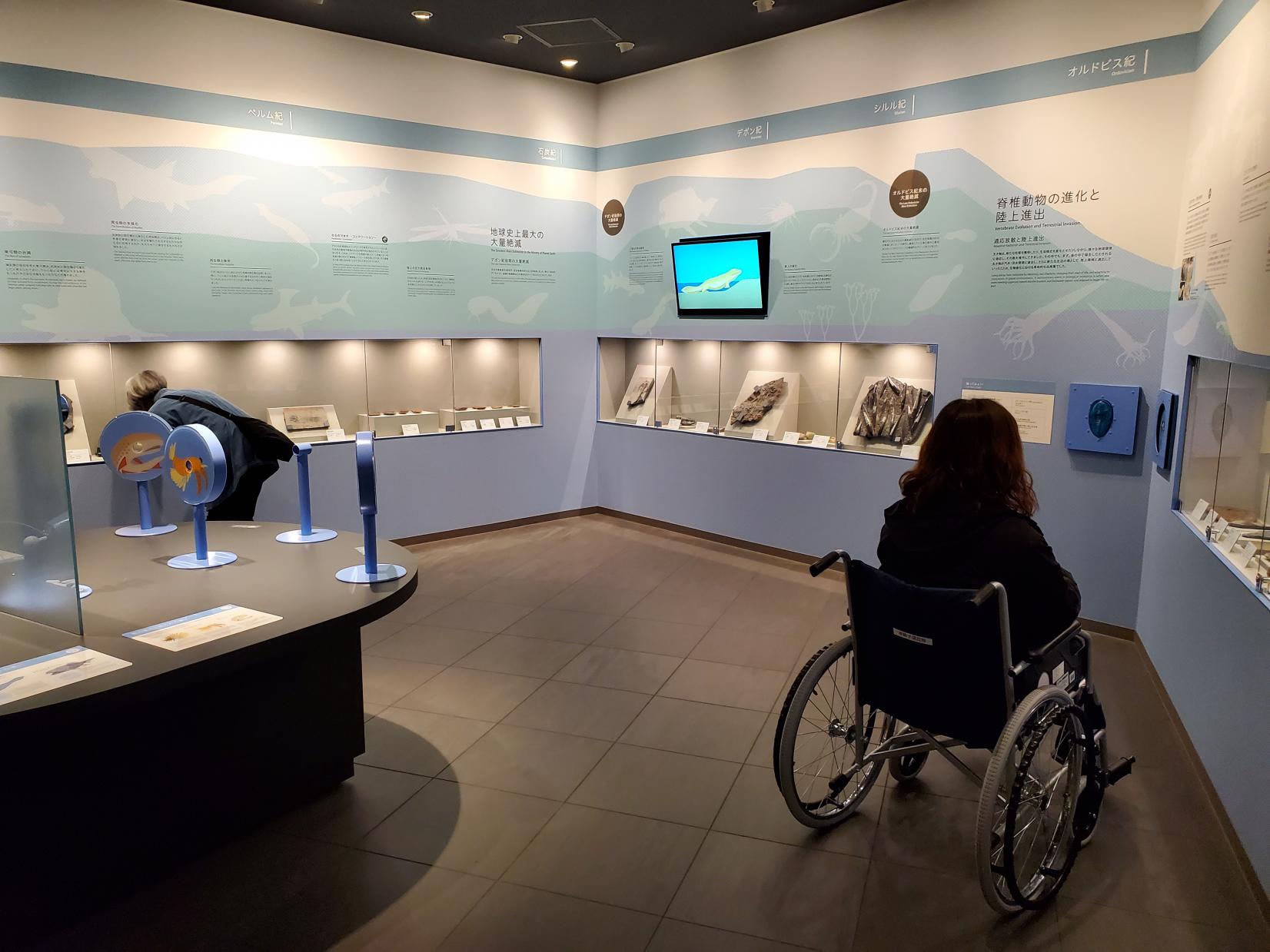 展示1-1