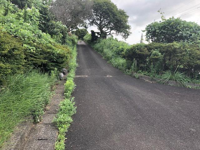 ツツジ等遊歩道までの路面-1