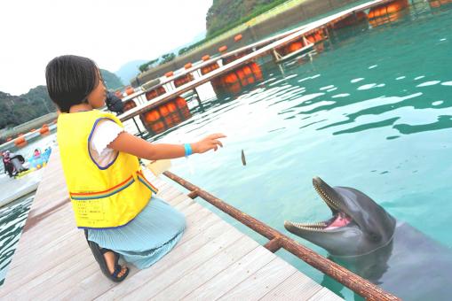 Iki Dolphin Park & Resort-2